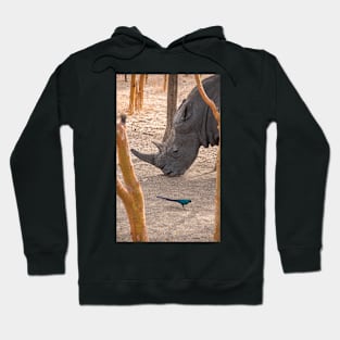 Rhinoceros Hoodie